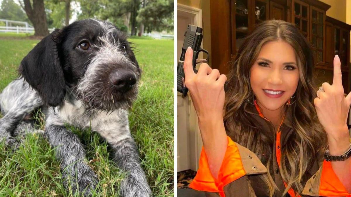 South Dakota Governor Noem Defends Herself Against Backlash For Killing Dog